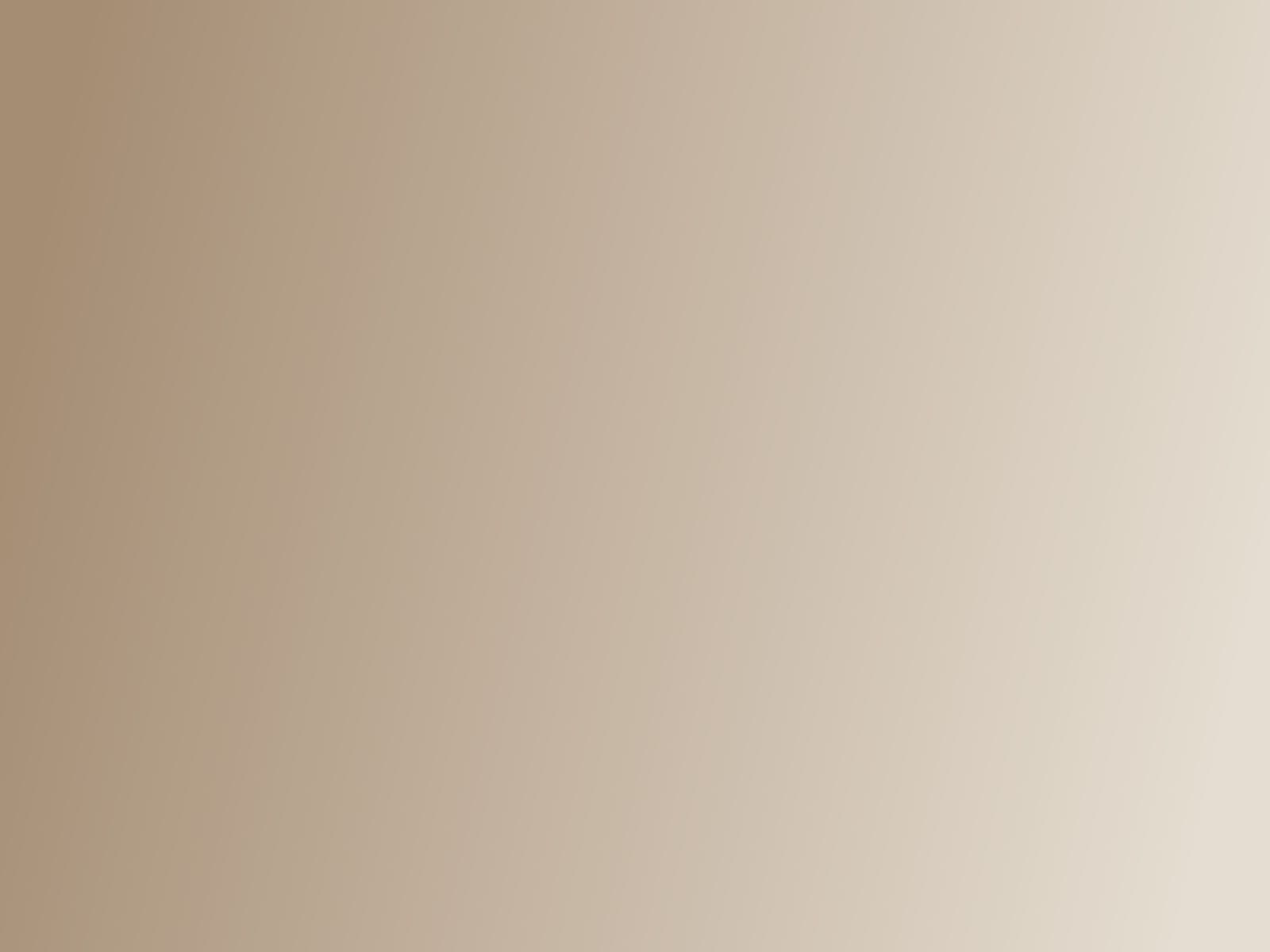 [DEMO] Longere renovee pres de Quimper — detail