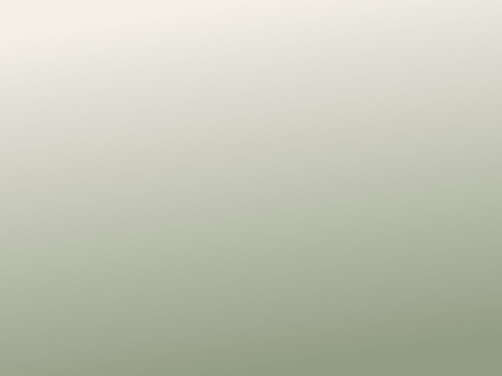 [DEMO] Longere renovee pres de Quimper — etat initial